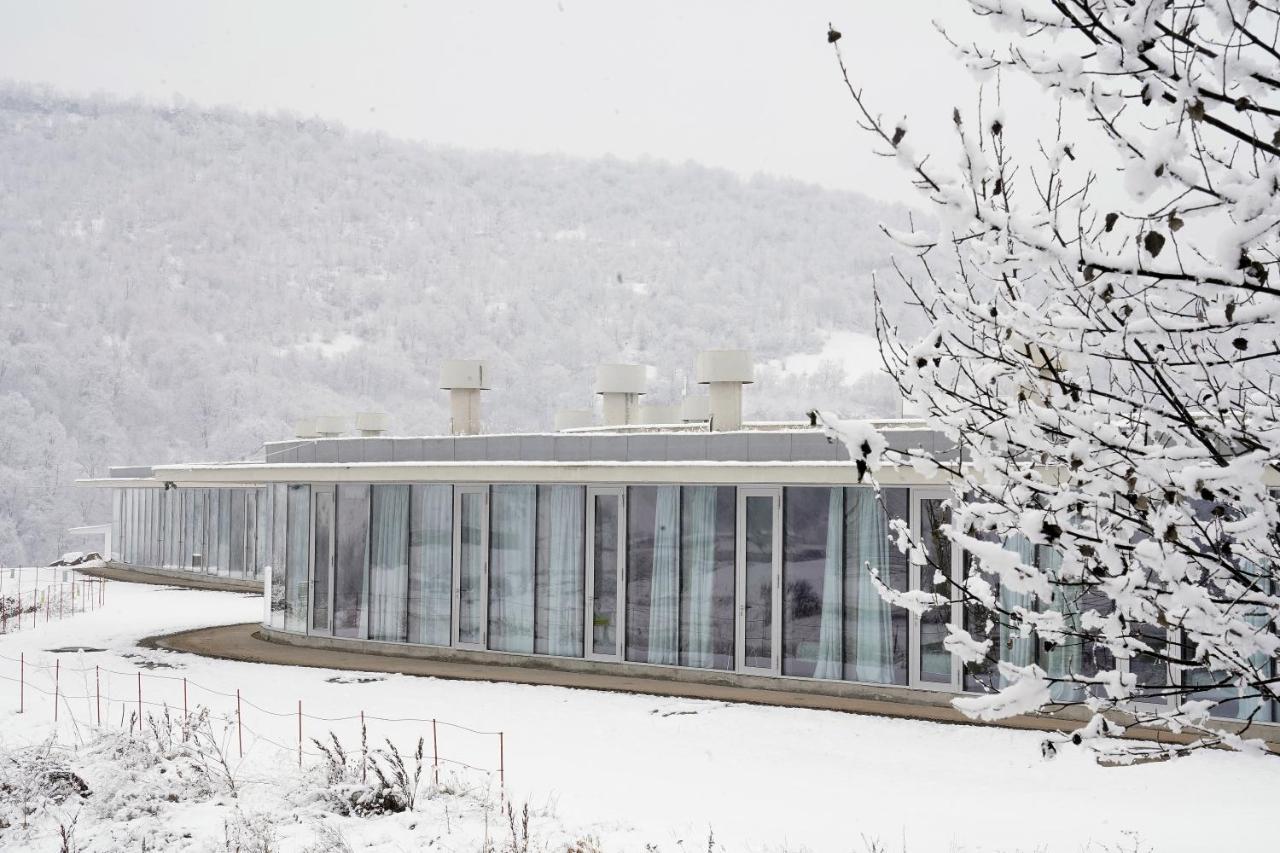 Concept Hotel By Coaf Debed Exterior foto